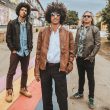 Concerto Savana Funk - 13 Novembre 2025 - Milano